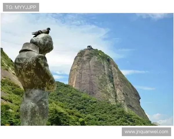 巴西选手夺南美冬奥首金创历史